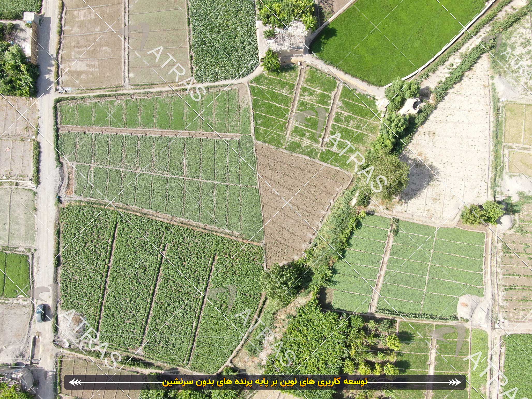 پایش ناژوان