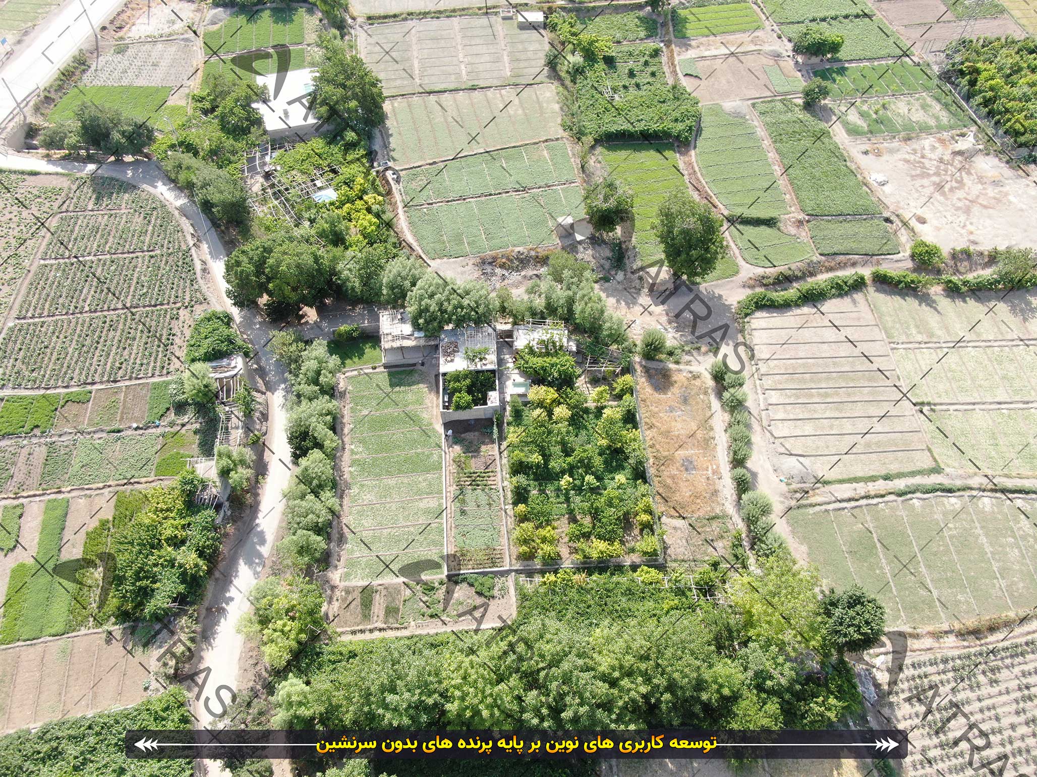 پایش ناژوان